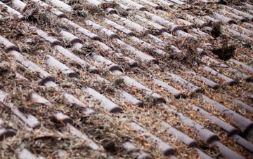 Whitwood roof cleaning companies